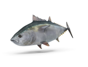 Blends Pescados